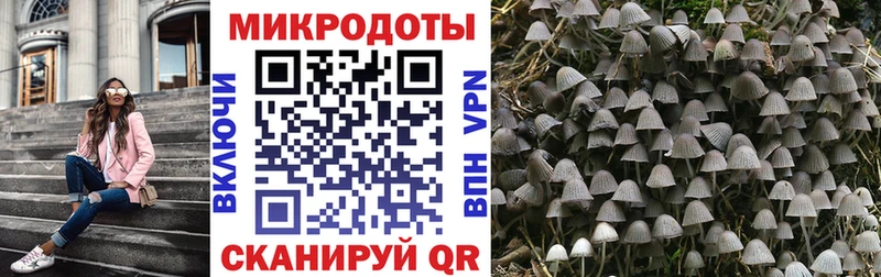 Псилоцибиновые грибы Cubensis  как найти закладки  Бирюсинск 
